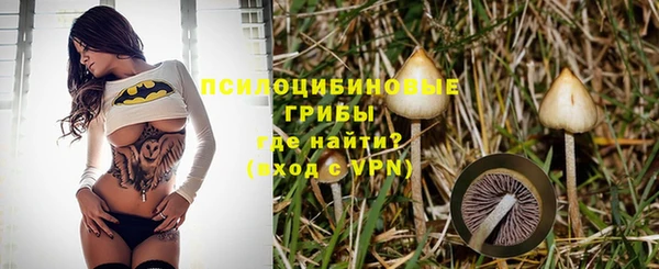 прущая мука Алзамай