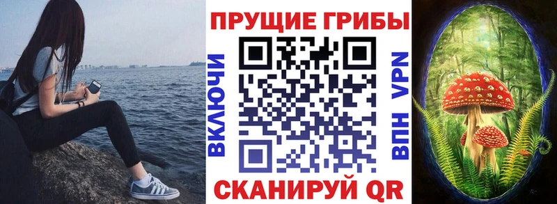 цены наркотик  кракен сайт  Галлюциногенные грибы мицелий  Болхов 